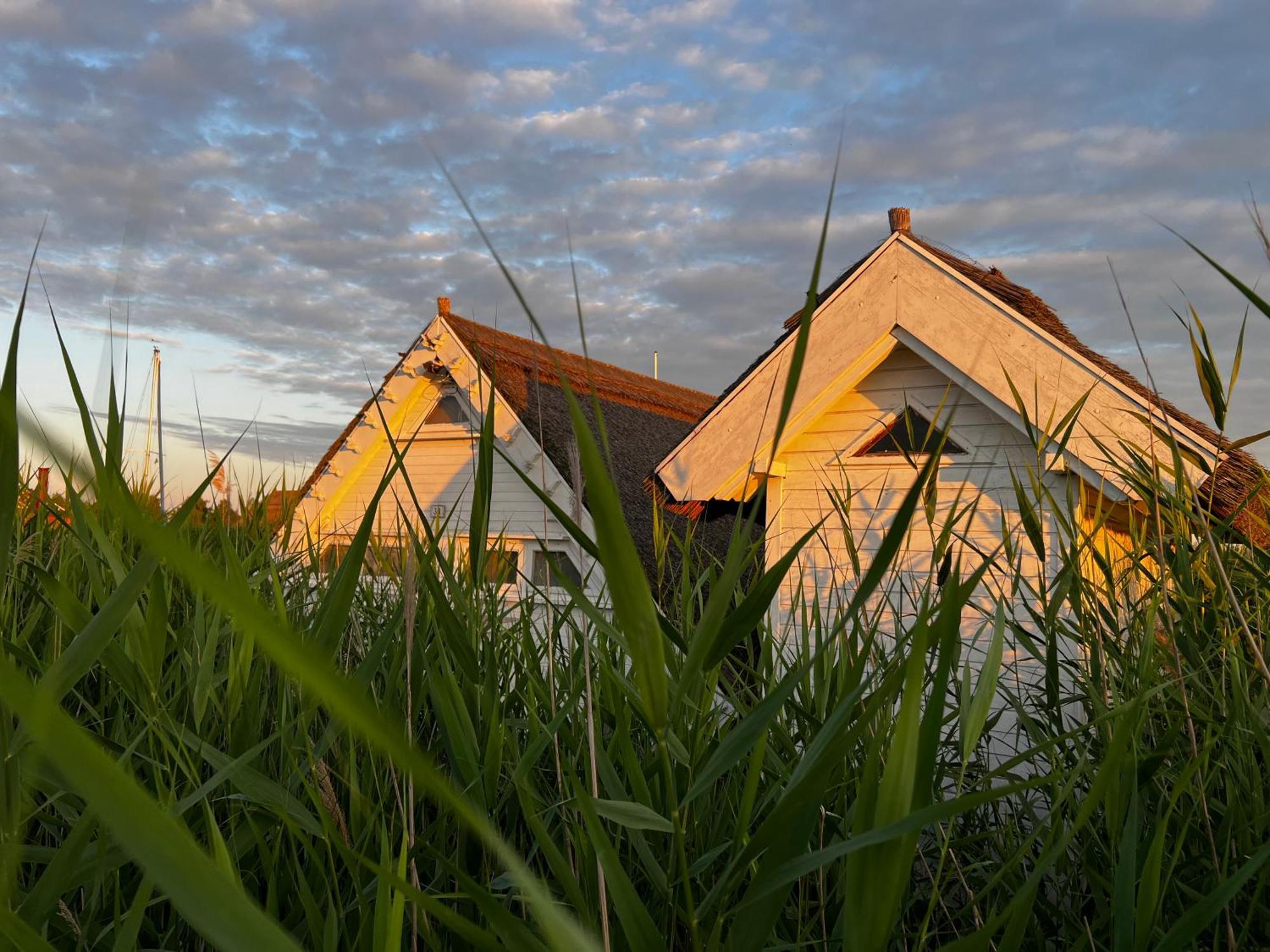 Seehuette Neusiedlersee - Seehaus Inklusive Elektroboot Руст Экстерьер фото